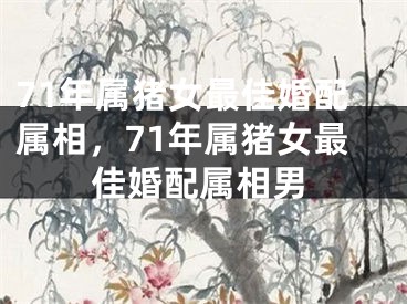 71年属猪女最佳婚配属相，71年属猪女最佳婚配属相男