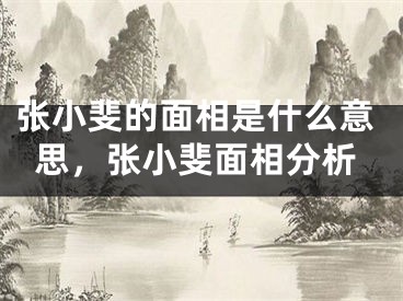 张小斐的面相是什么意思,张小斐面相分析