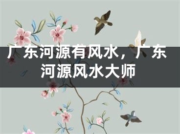 广东河源有风水，广东河源风水大师