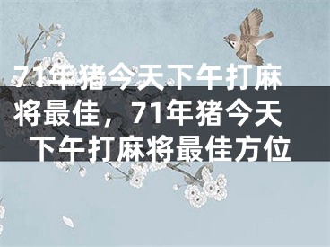 71年猪今天下午打麻将最佳,71年猪今天下午打麻将最佳方位