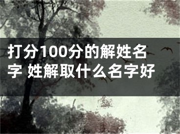 打分100分的解姓名字 姓解取什么名字好