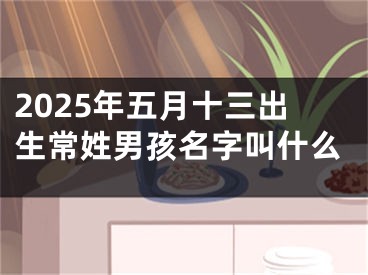 2025年五月十三出生常姓男孩名字叫什么