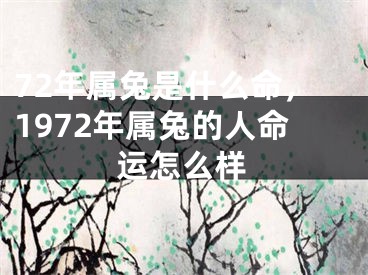 72年属兔是什么命,1972年属兔的人命运怎么样