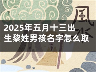 2025年五月十三出生黎姓男孩名字怎么取