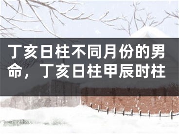 丁亥日柱不同月份的男命，丁亥日柱甲辰时柱