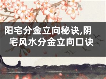 阳宅分金立向秘诀,阴宅风水分金立向口诀
