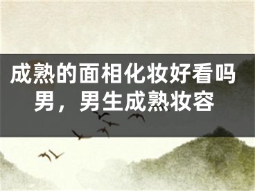成熟的面相化妆好看吗男,男生成熟妆容