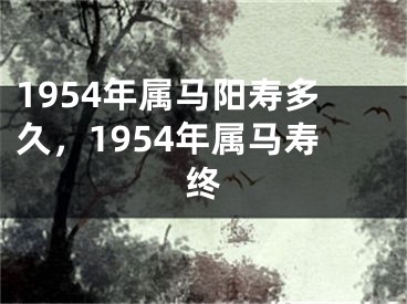 1954年属马阳寿多久，1954年属马寿终