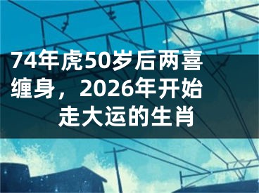 74年虎50岁后两喜缠身,2026年开始走大运的生肖