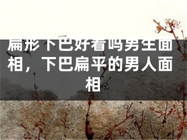扁形下巴好看吗男生面相,下巴扁平的男人面相