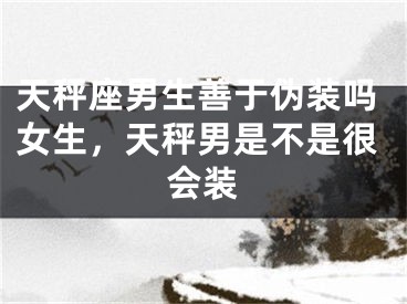 天秤座男生善于伪装吗女生,天秤男是不是很会装