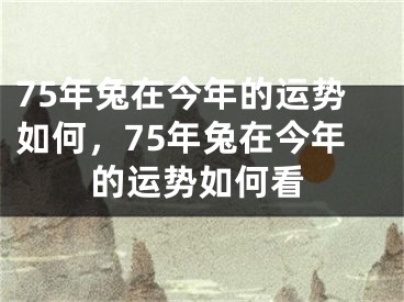 75年兔在今年的运势如何，75年兔在今年的运势如何看