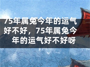75年属兔今年的运气好不好,75年属兔今年的运气好不好呀