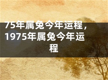 75年属兔今年运程,1975年属兔今年运程