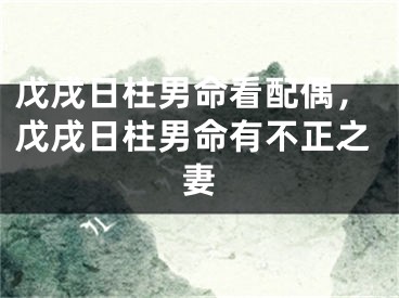 戊戌日柱男命看配偶,戊戌日柱男命有不正之妻