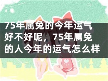 75年属兔的今年运气好不好呢,75年属兔的人今年的运气怎么样
