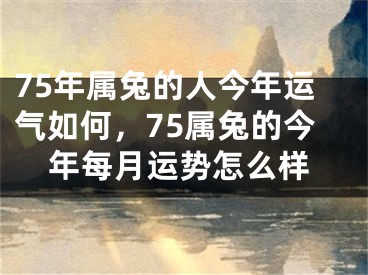 75年属兔的人今年运气如何,75属兔的今年每月运势怎么样