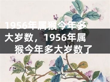 1956年属猴今年多大岁数,1956年属猴今年多大岁数了