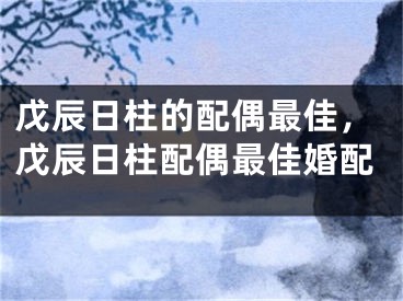 戊辰日柱的配偶最佳,戊辰日柱配偶最佳婚配