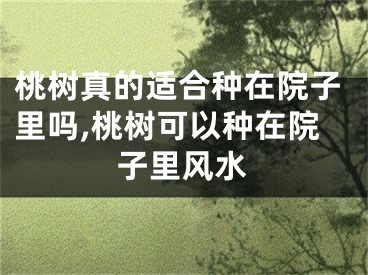 桃树真的适合种在院子里吗,桃树可以种在院子里风水