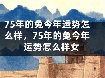 75年的兔今年运势怎么样,75年的兔今年运势怎么样女