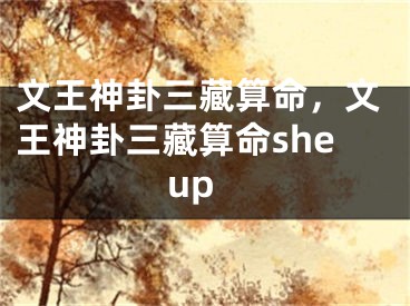 文王神卦三藏算命,文王神卦三藏算命sheup