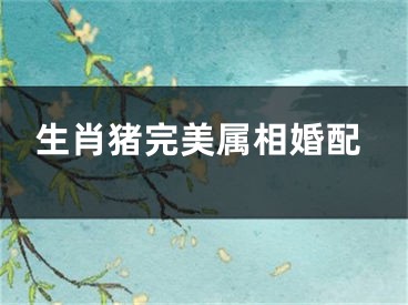生肖猪完美属相婚配