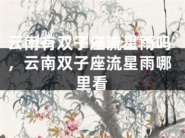 云南有双子座流星雨吗,云南双子座流星雨哪里看