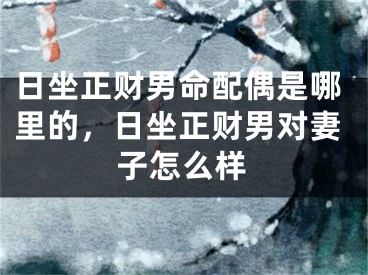 日坐正财男命配偶是哪里的,日坐正财男对妻子怎么样