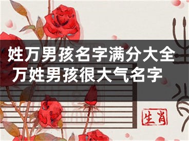 姓万男孩名字满分大全 万姓男孩很大气名字