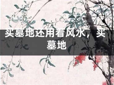 买墓地还用看风水，买墓地