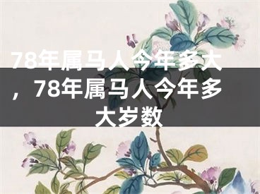 78年属马人今年多大,78年属马人今年多大岁数