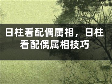 日柱看配偶属相,日柱看配偶属相技巧