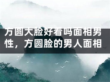 方圆大脸好看吗面相男性,方圆脸的男人面相