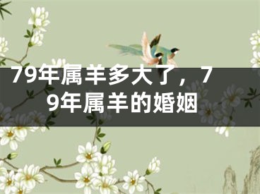 79年属羊多大了，79年属羊的婚姻