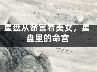 星盘从命宫看美女，星盘里的命宫