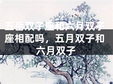 五岳双子座和六月双子座相配吗,五月双子和六月双子