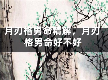月刃格男命精解，月刃格男命好不好