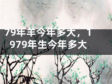 79年羊今年多大，1979年生今年多大