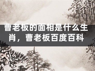 曹老板的面相是什么生肖,曹老板百度百科