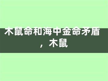 木鼠命和海中金命矛盾,木鼠