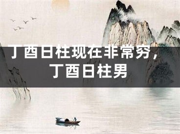 丁酉日柱现在非常穷，丁酉日柱男