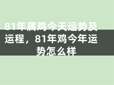 81年属鸡今天运势及运程，81年鸡今年运势怎么样