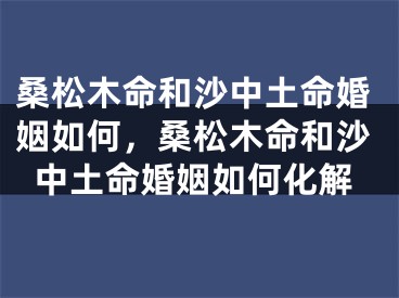 桑松木命和沙中土命婚姻如何,桑松木命和沙中土命婚姻如何化解