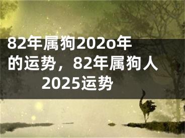 82年属狗202o年的运势,82年属狗人2025运势