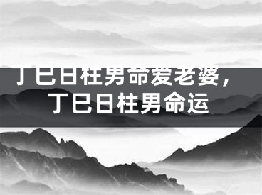 丁巳日柱男命爱老婆，丁巳日柱男命运