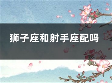 狮子座和射手座配吗
