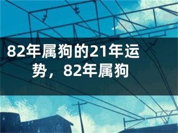 82年属狗的21年运势,82年属狗