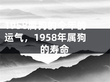 1958属狗的今年的运气，1958年属狗的寿命