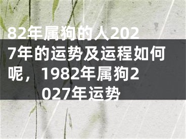 82年属狗的人2027年的运势及运程如何呢，1982年属狗2027年运势
